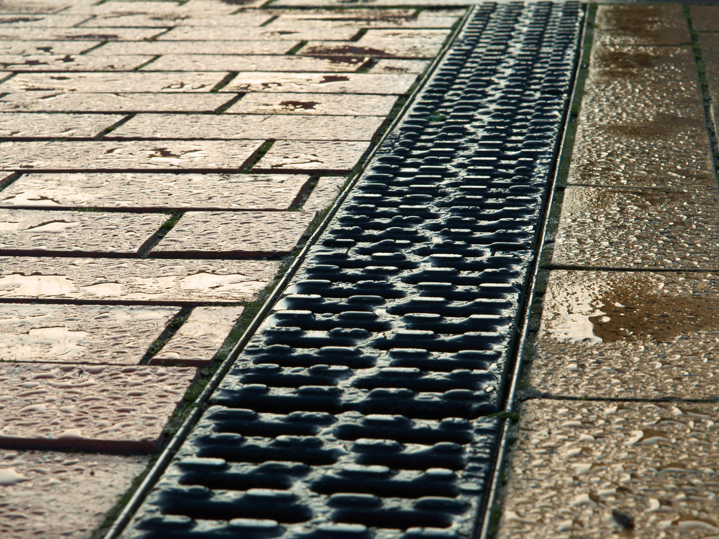 Drainage Composites & Composite Drain Board Casper, Gillette, Laramie